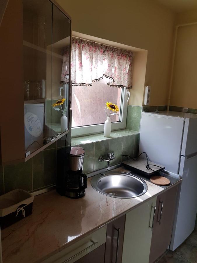 Smile Apartments Sighisoara Ngoại thất bức ảnh